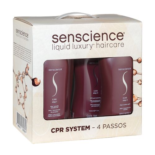 cpr-system-4-passos-1.jpg